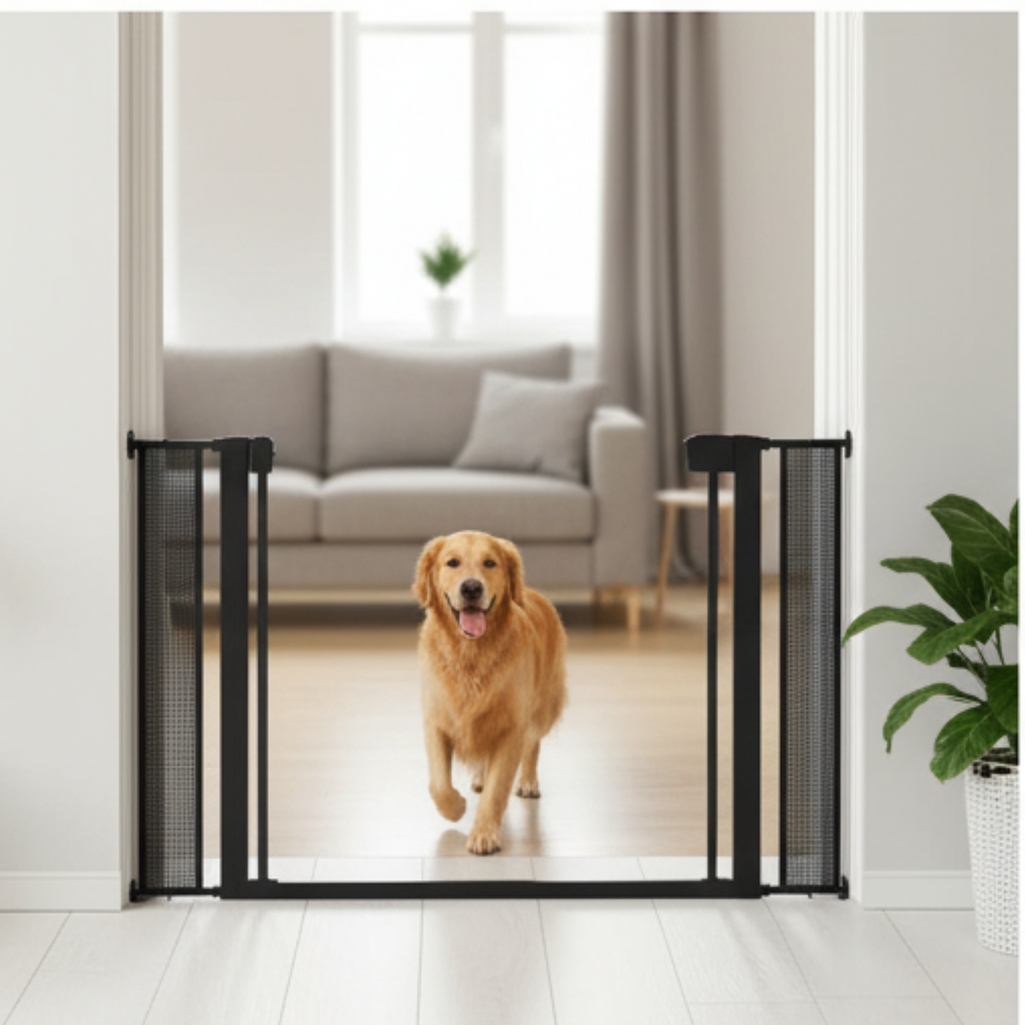 Dog walking through a black mesh pet gate in a home setting.