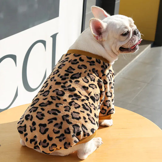 Dog wearing a leopard print outfit sitting on a wooden surface.