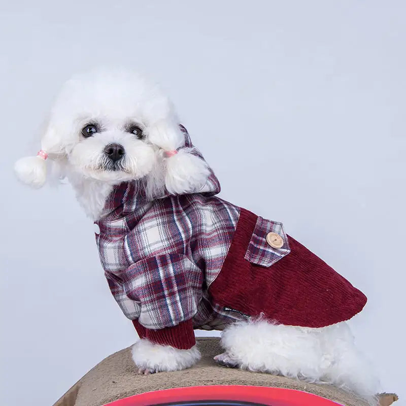 White dog wearing a plaid shirt with red accents on a light gray background