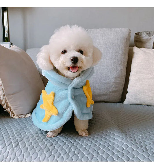 White dog wearing a blue outfit with yellow stars on a couch.