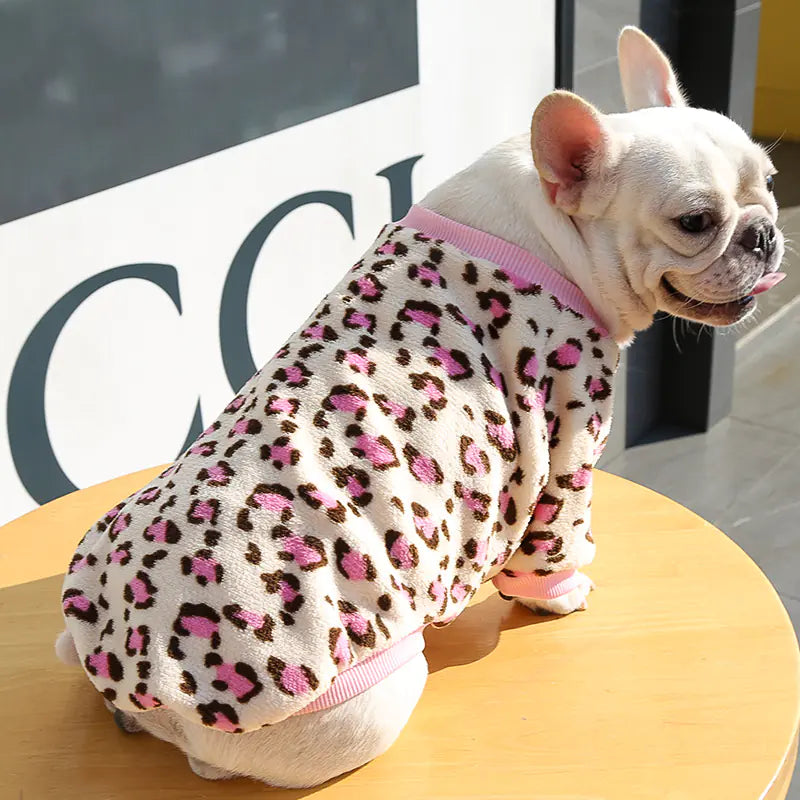 Dog wearing a leopard print outfit on a wooden surface